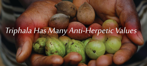 Triphala Relieves Pain
